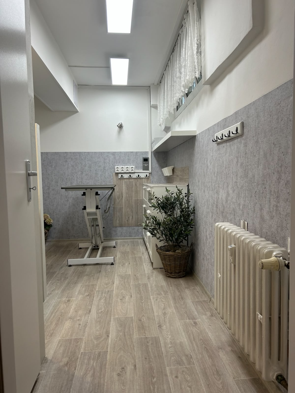 Psí salon LUCI - 2